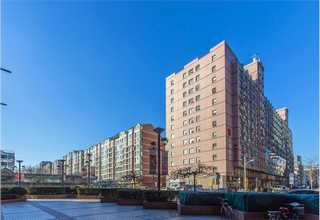 即用型细胞冻存液dmso加多少